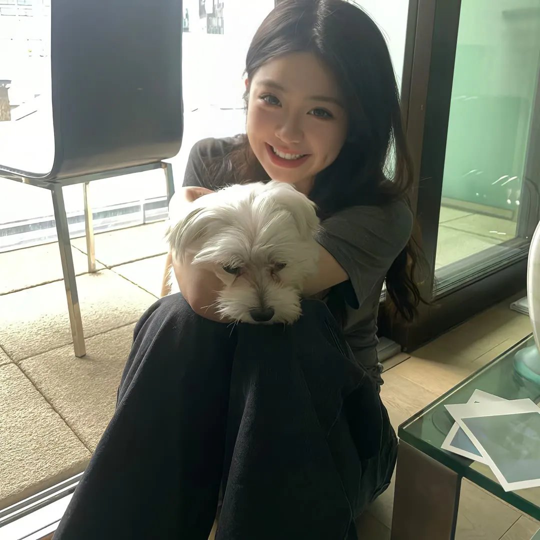 熊猫月宝